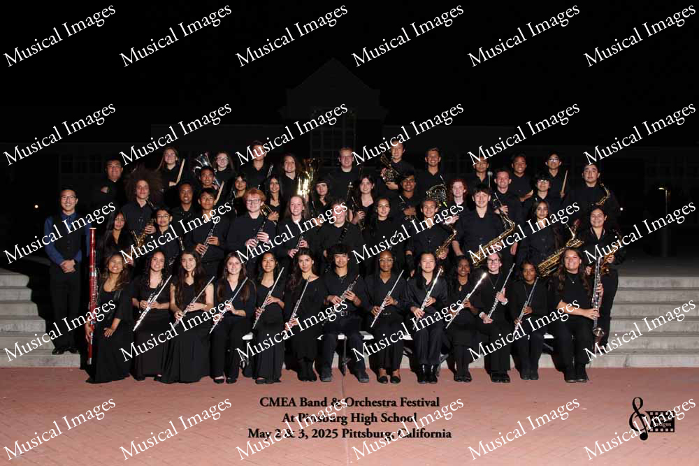Musical Images